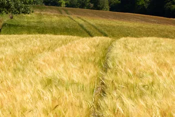 Hilly Tramlines.jpg